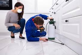 Best Fumigation Services  in Lake Leann, MI